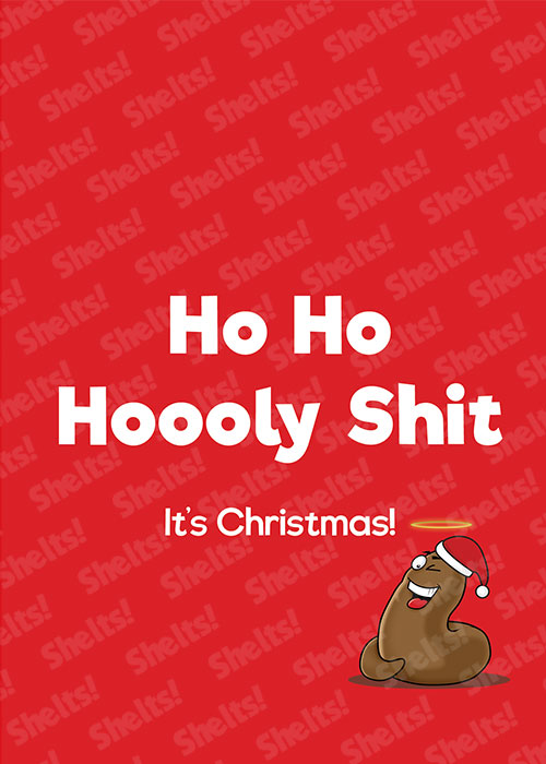 Funny rude adult Christmas card with the caption Ho Ho Hoooly Shit it's Christmas! and a winking poo illustration with a halo above it's head