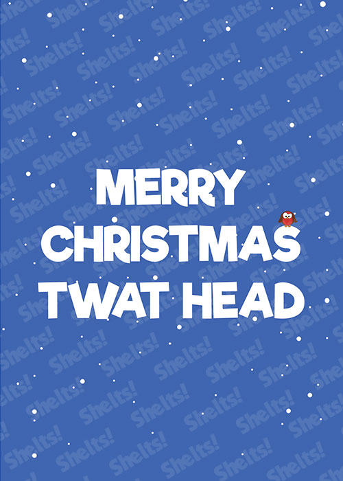 Funny rude crude adult Christmas card with white text on a snowy blue background that reads Merry Christmas Twat Head