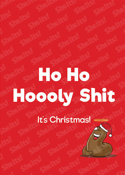 Funny rude adult Christmas card with the caption Ho Ho Hoooly Shit it's Christmas! and a winking poo illustration with a halo above it's head